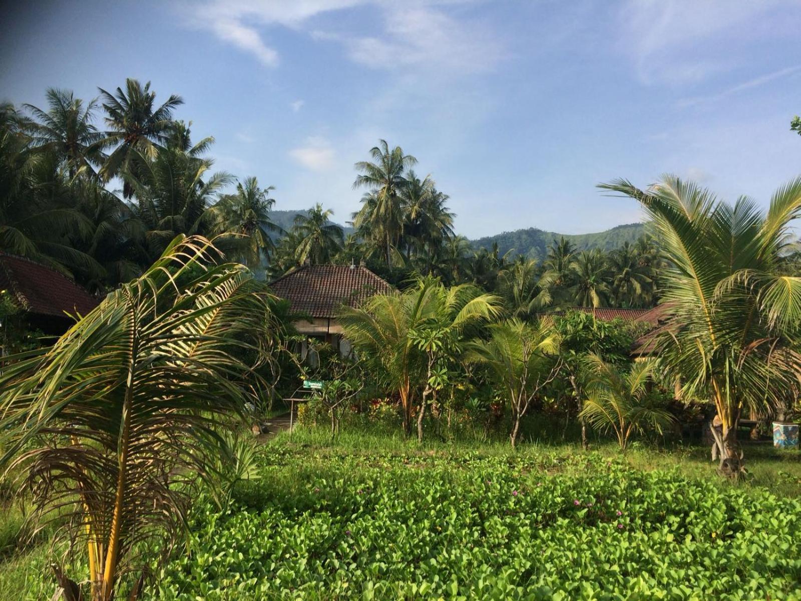 Bali Segara Lestari Oceanfront Villas Tejakula Exterior photo