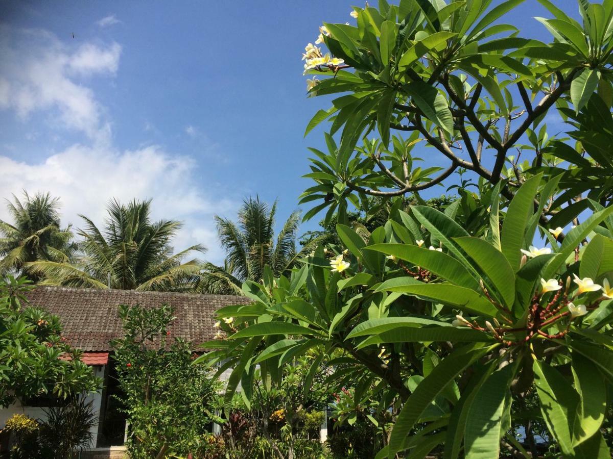 Bali Segara Lestari Oceanfront Villas Tejakula Exterior photo